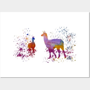 Llamas Posters and Art